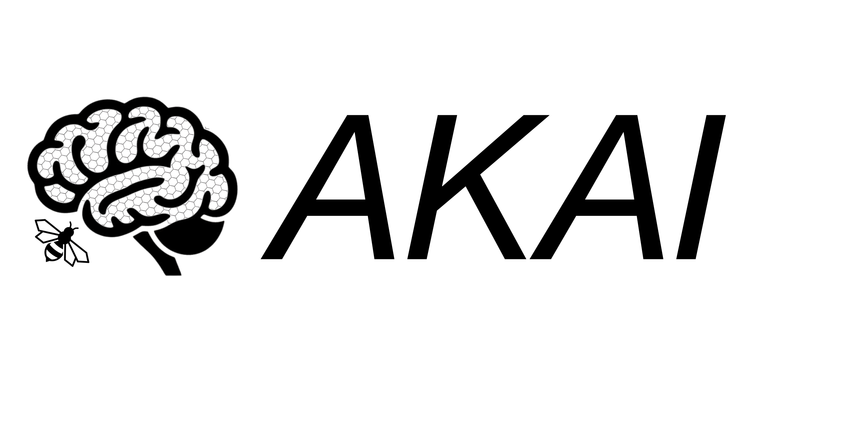 AK AI Operations LLC